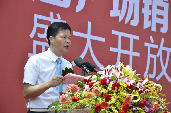 mg冰球突破·豪华版(试玩)官方网站