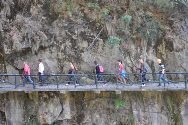 2011����ȴ�