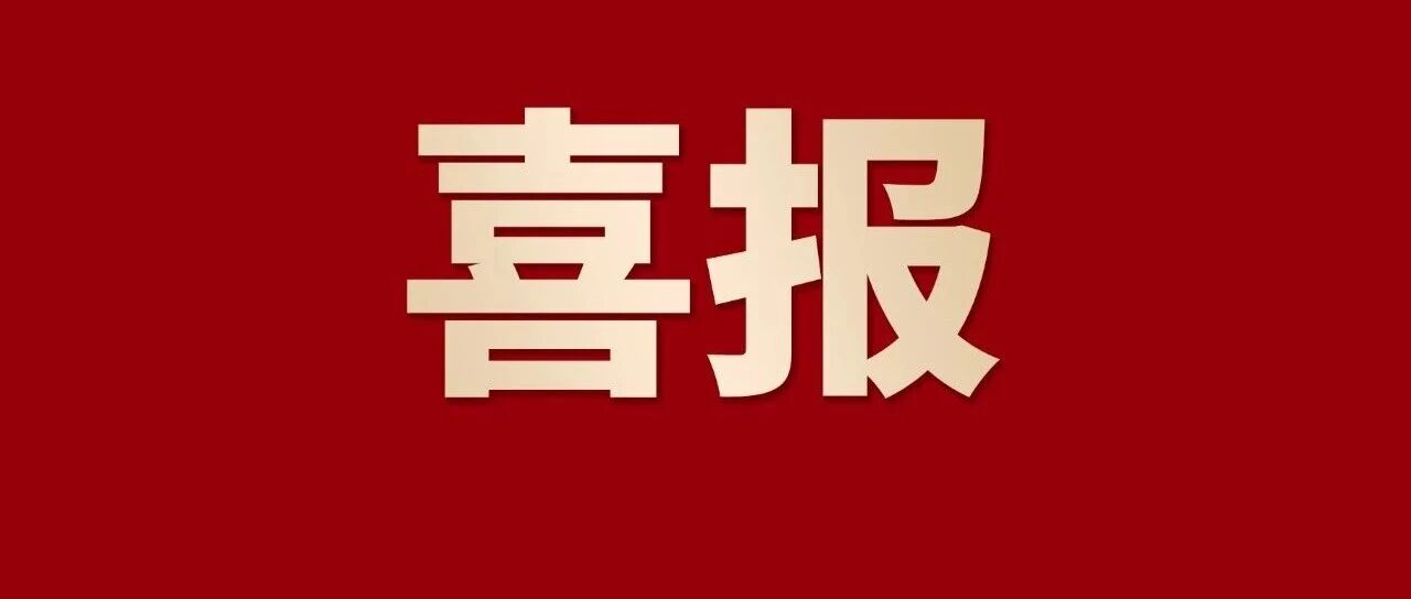喜报 | mg冰球突破集团连任佛山企业100强、制造业100强、民企100强，，，，，，三大榜单！
