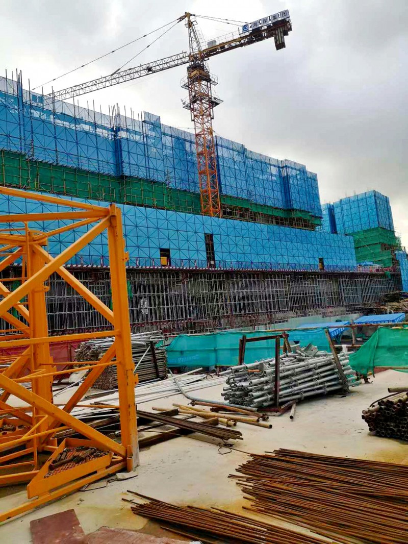 �`�`�F���U�׮������]2020�b�ء^