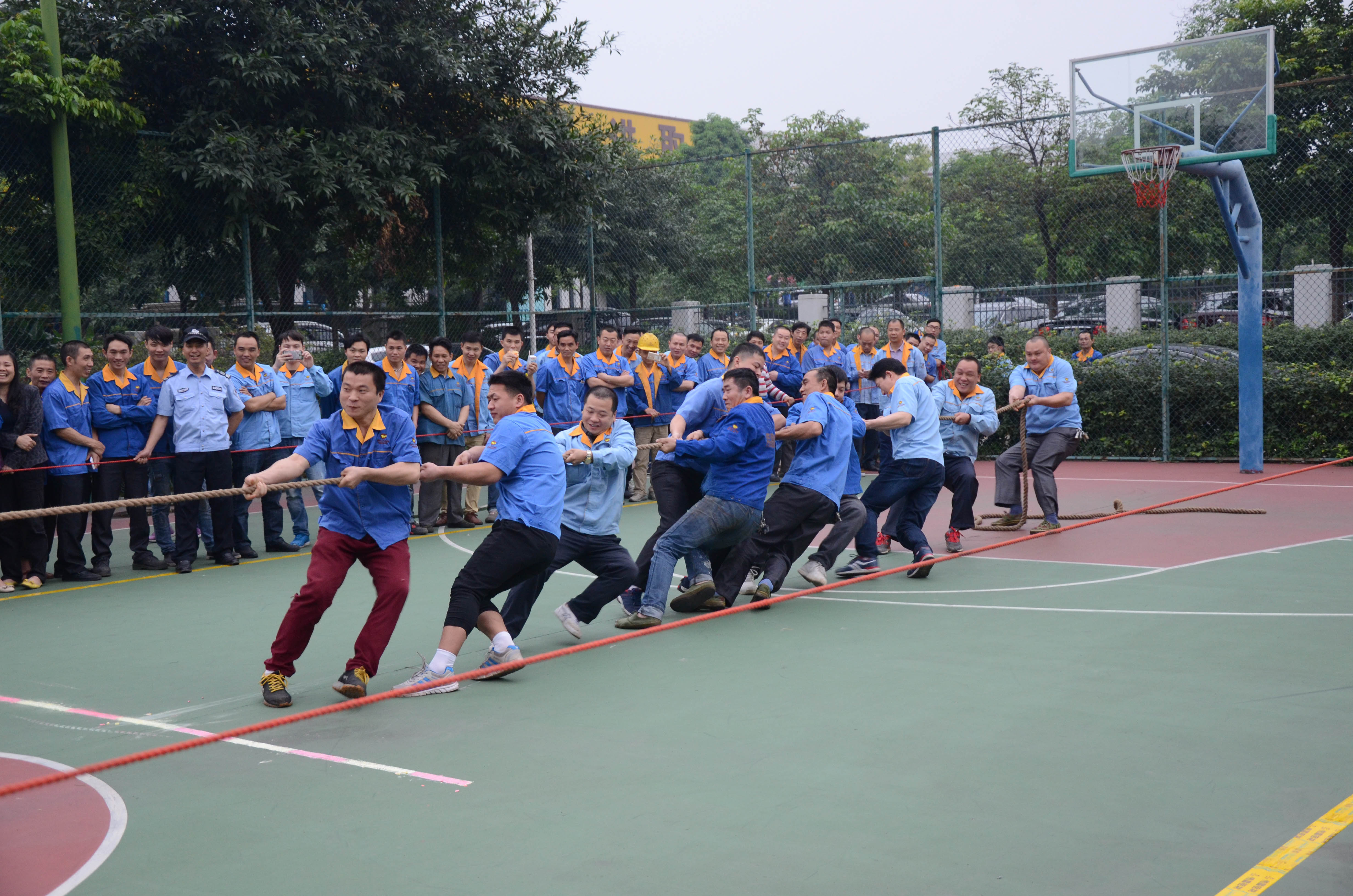 mg����ͻ�ơ�������(����)�ٷ���վ