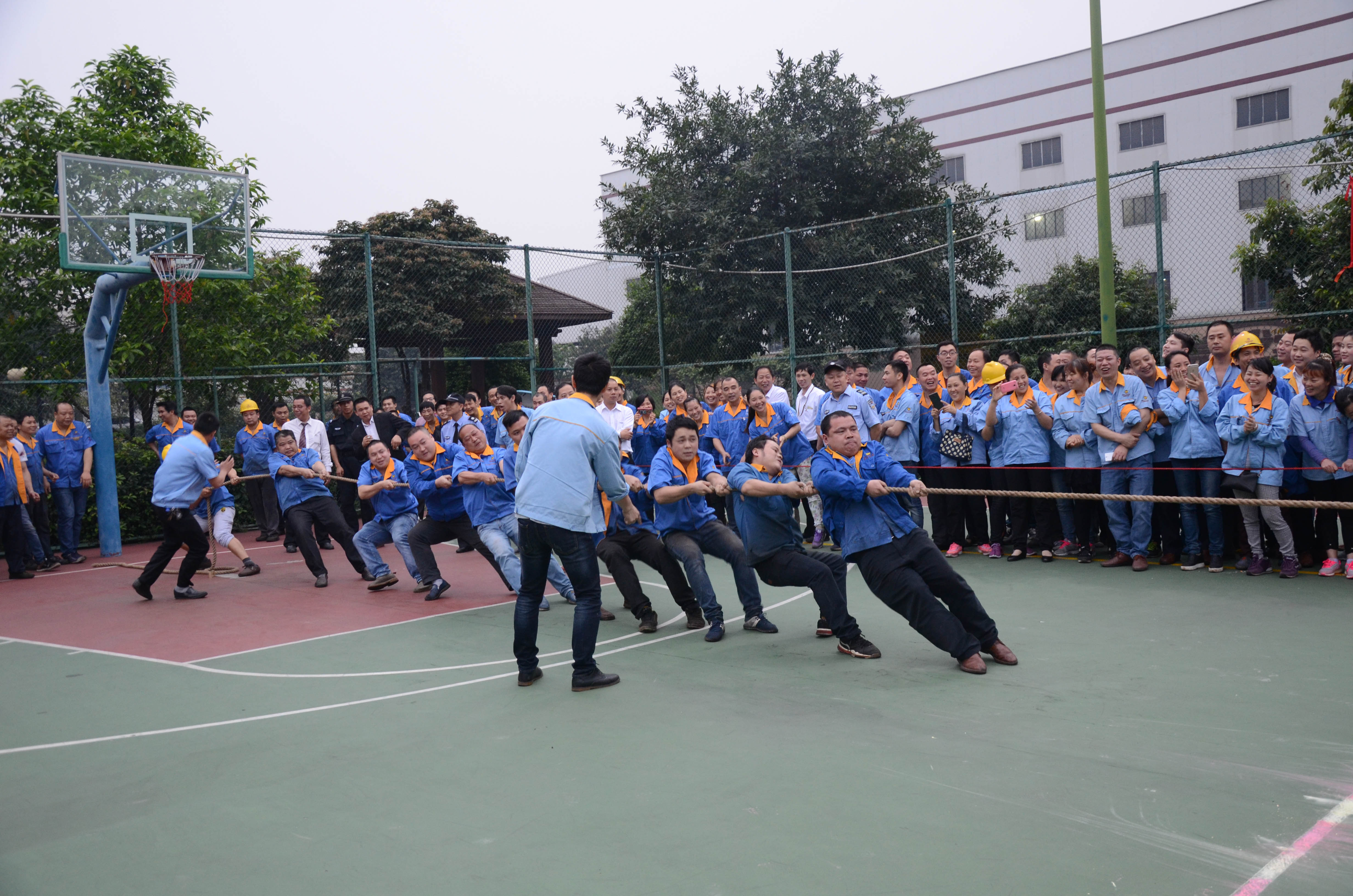 mg����ͻ�ơ�������(����)�ٷ���վ