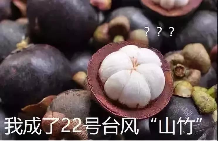 mg����ͻ�ơ�������(����)�ٷ���վ